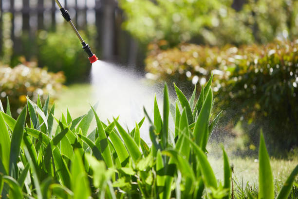 24/7 Emergency Mosquito Control experts in Costa Mesa, CA