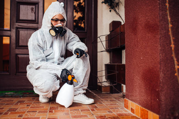 Reliable Mosquito Control contractor in Costa Mesa, CA by Show Me Pest Control