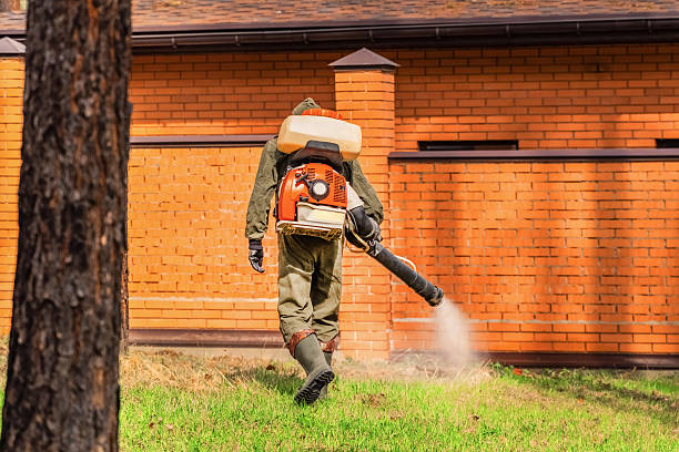 Top rated local Mosquito Control specialists in Costa Mesa, CA
